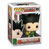 HUNTER X HUNTER-  Pop Gon Freecss